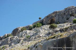 ntana Paradiso-15-05-2014 17-38-44